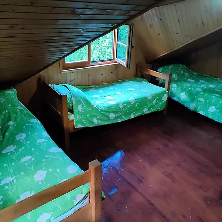 Vikendica Ribnik Holiday home